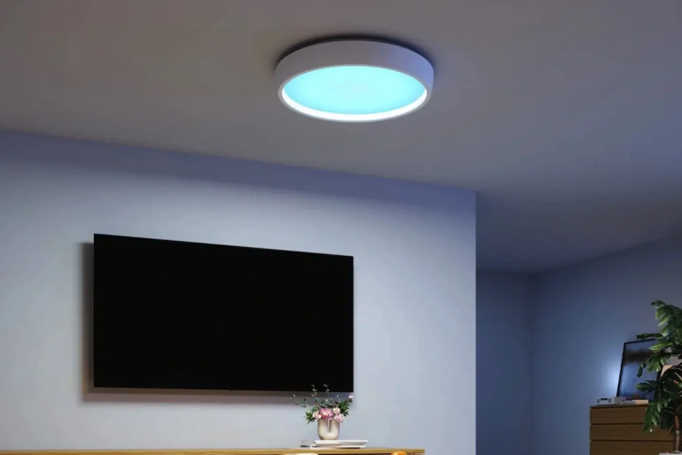 Lumière de plafond WiFi intelligente avec contrôle vocal pour maison connectée